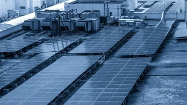 The solar panel industry: Powering a sustainable future